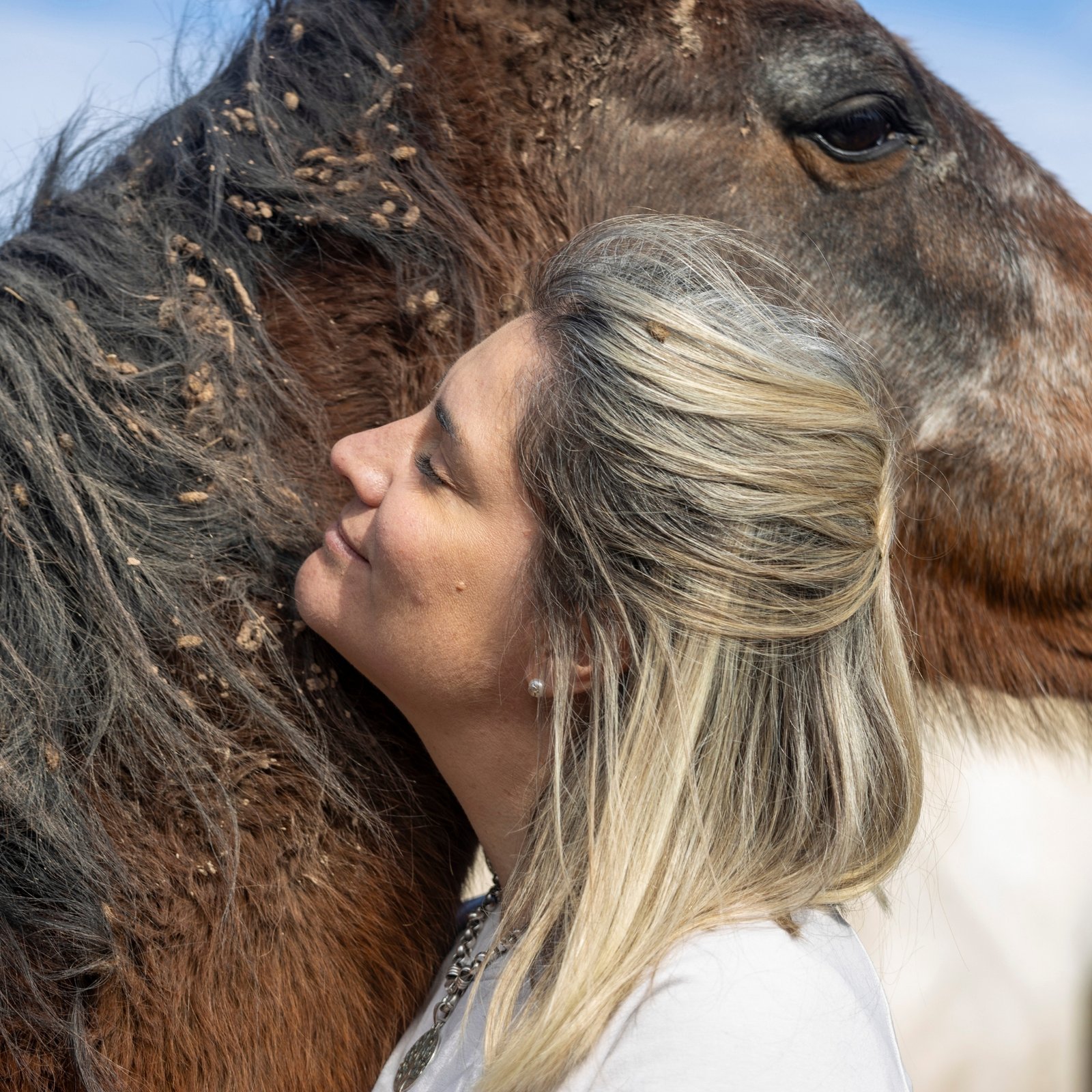 una imagen de El viaje del ser 
